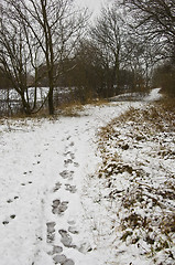 Image showing Winter landscape