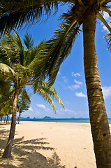 Image showing Thai Beach