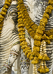 Image showing Holy elephant