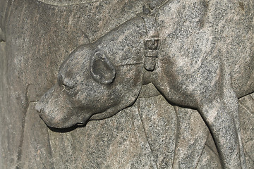 Image showing Dog in Stone