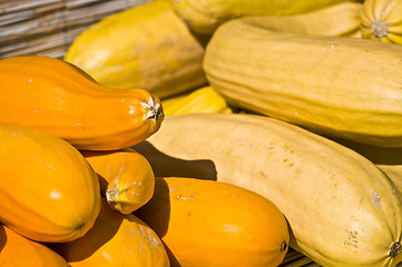 Image showing Pumpkins