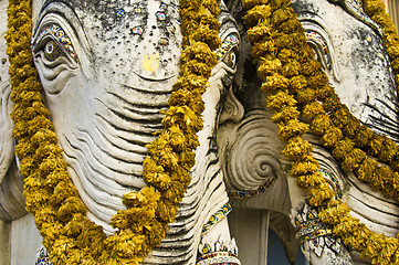 Image showing Holy elephant