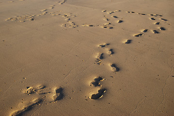 Image showing footprints in the sand