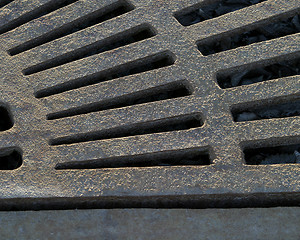 Image showing Tree Grate Detail