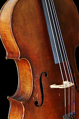 Image showing Black Isolated Cello