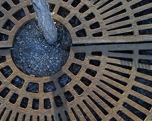 Image showing Tree Grate