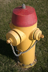 Image showing Yellow Fire Hydrant