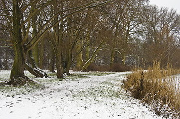 Image showing Winter landscape