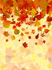 Image showing Autumn leaves background. EPS 8