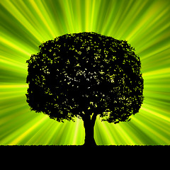 Image showing Tree with green burst template. EPS 8