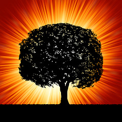 Image showing A tree at sunrise. EPS 8