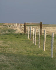 Image showing Prairie Landscape