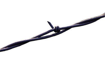 Image showing Barbed Wire
