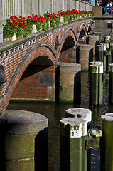 Image showing Bridge with flowers