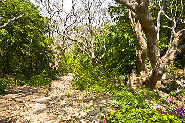 Image showing Garden of Phra Nakhon Khiri