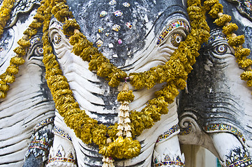 Image showing Holy elephant