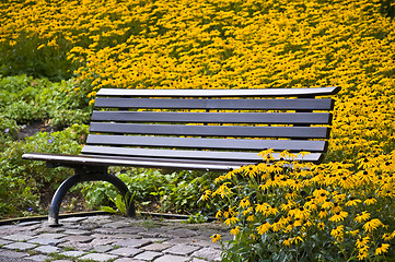 Image showing Bench