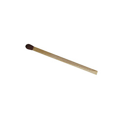 Image showing Match Stick