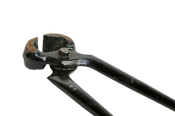 Image showing Wire Snips