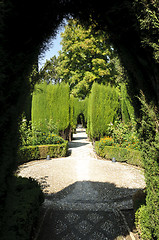 Image showing Generalife gardens in Granada, Spain