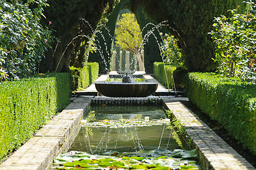 Image showing Fountain and pool in the Generalife gardens in Granada, Spain
