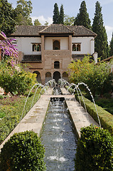 Image showing Alhambra - Patio de la Acequia inside the Generalife gardens