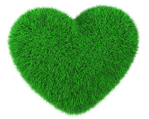 Image showing Heart made of green grass isolated