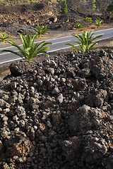 Image showing Canary Islands