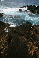 Image showing Canary island