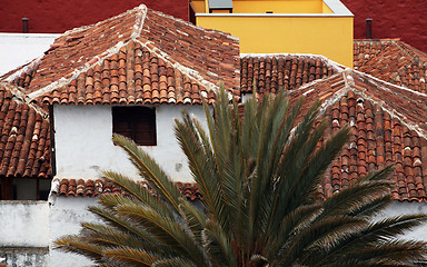 Image showing Red roofs