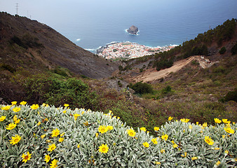 Image showing Garachico, Tenerife