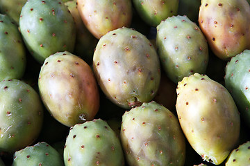 Image showing Prickly pears