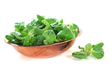 Image showing fresh corn salad