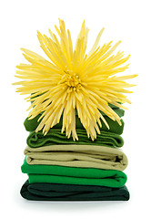 Image showing Fresh spring laundry