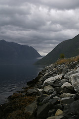 Image showing Fjord