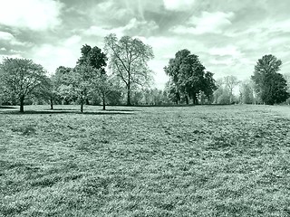 Image showing Hyde Park, London