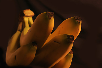 Image showing Banana Bunch