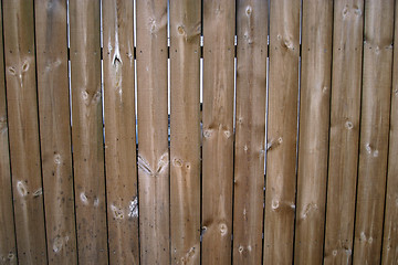 Image showing Wood Fence Texture