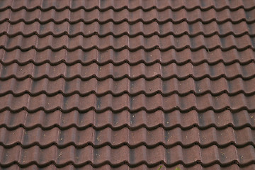 Image showing Roof Tile Texture