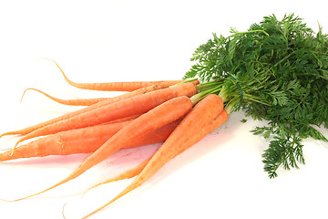 Image showing Carrots