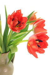 Image showing tulip bouquet