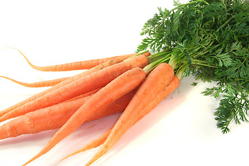 Image showing Carrots