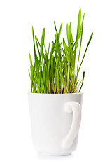 Image showing fresh green grass in coffee cup