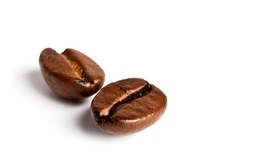 Image showing  two coffee beans