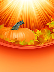 Image showing Colorful autumn card leaves with Pumpkin. EPS 8