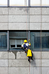 Image showing Window cleaner