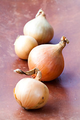 Image showing Yellow onions