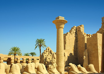 Image showing column and statues of sphinx in karnak temple