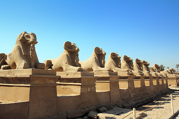 Image showing egypt statues of sphinx in karnak temple