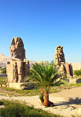 Image showing colossi of memnon in Luxor Egypt
